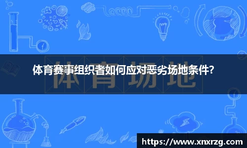 头号玩家龙8国际